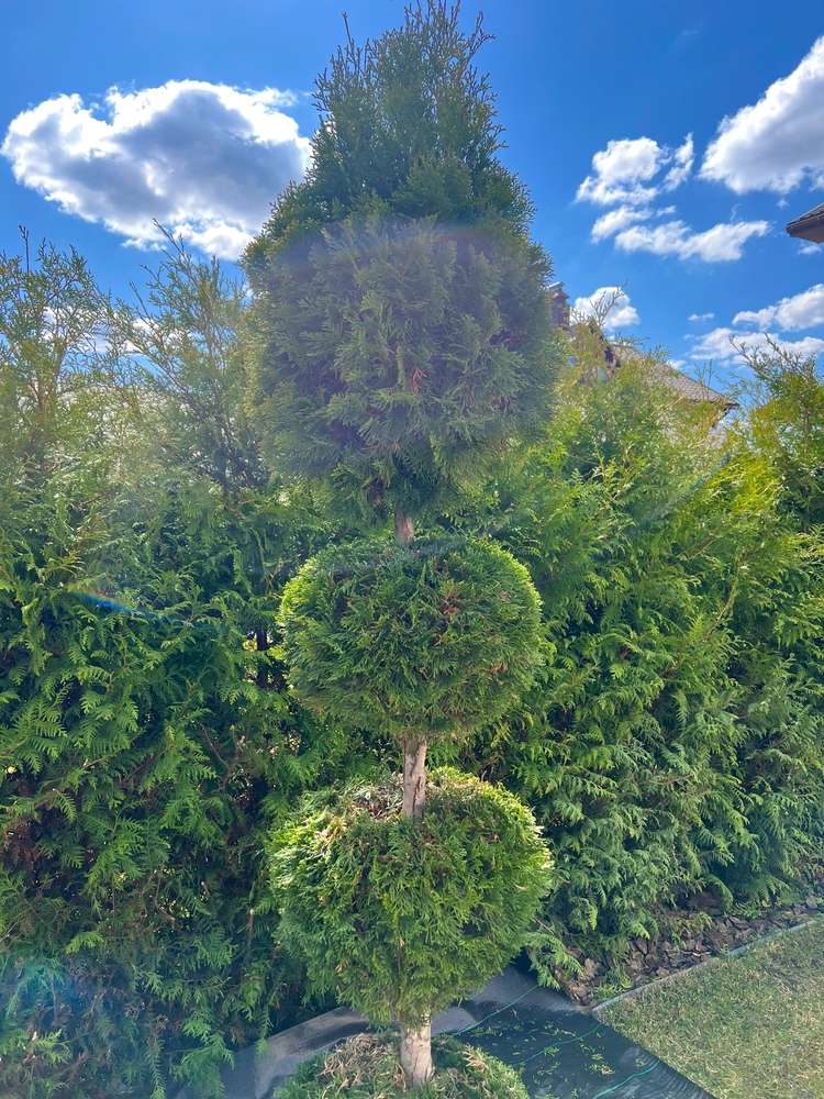 Landscaping Services in Long Beach, MS