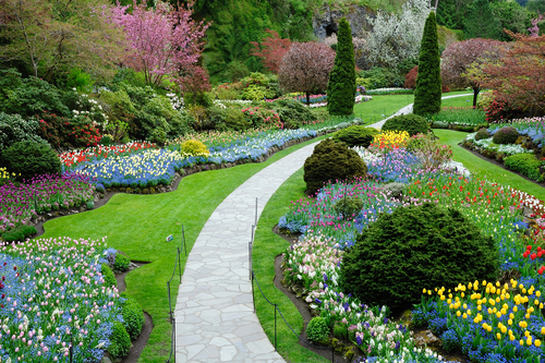 Our Full Suite of Landscaping Services in Pass Christian, MS