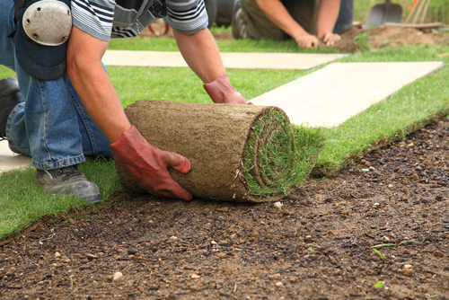 Landscape Lighting and Tree Services in Pass Christian