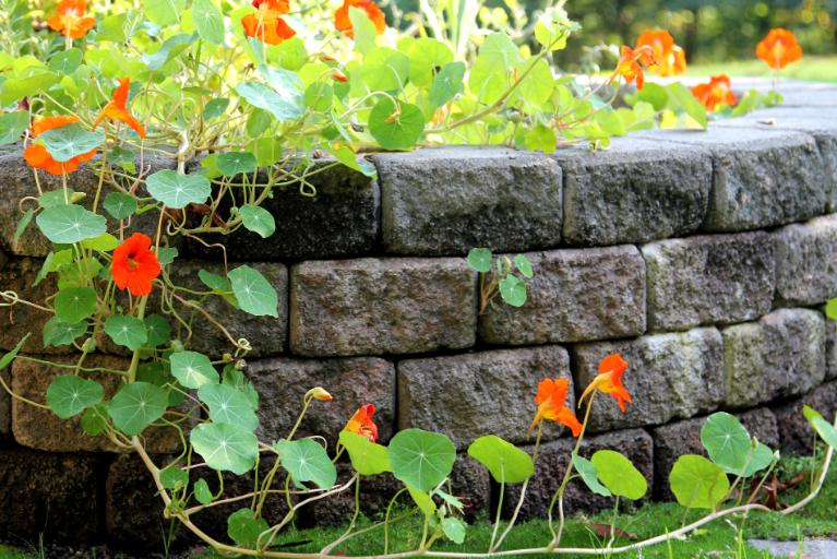 Retaining Walls (1)